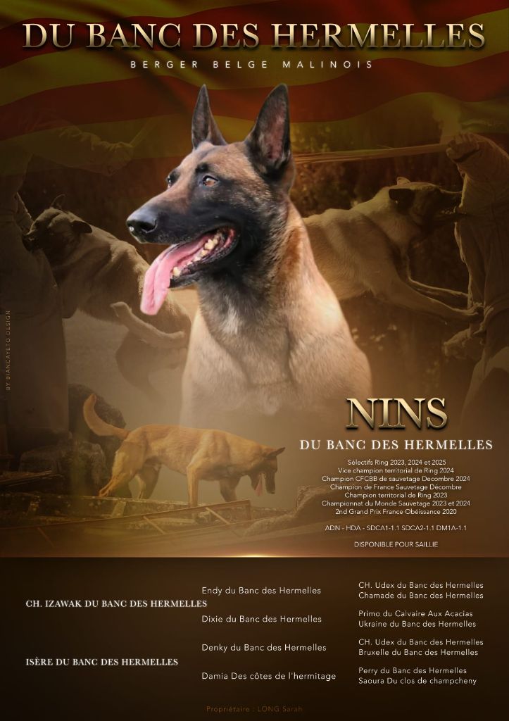 Chiots à naître